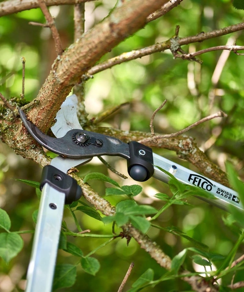 FELCO F211-60 Swiss Made Loppers for Gardening â€“ 24" Lightweight Precision Loppers for Tree Trimming | Tree Branch Cutters | Tree Trimmer Tool with Curved Bypass Blade | I-Beam Handles | Landscape - Image 2